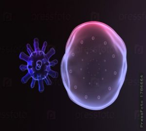 Вирус проникает в клетку