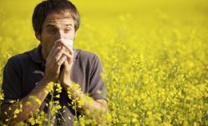 Вместе с воздухом аллергены попадают в организм 