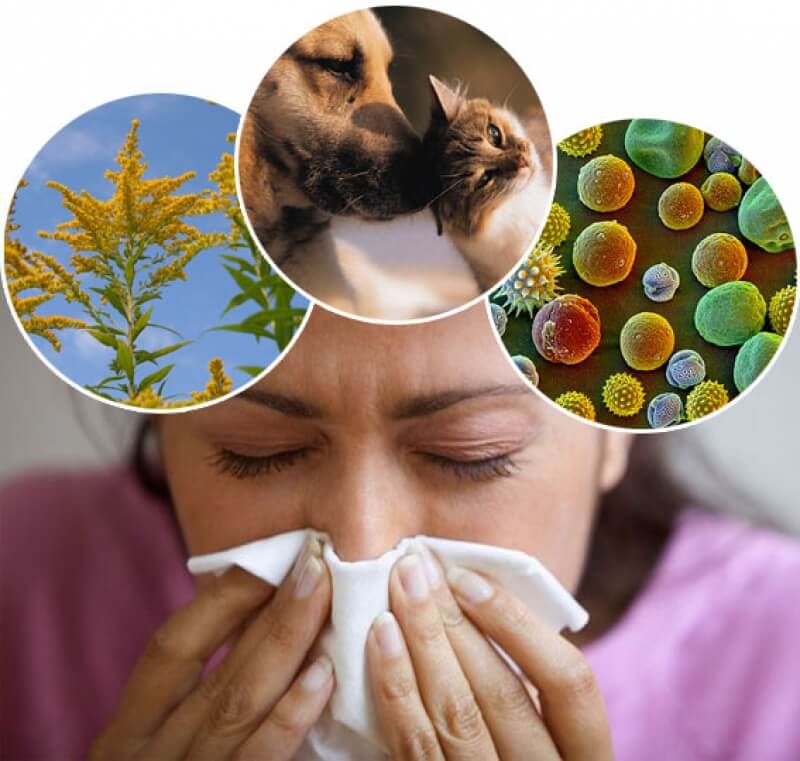 причины аллергии