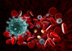 Особенности работы иммунной системы